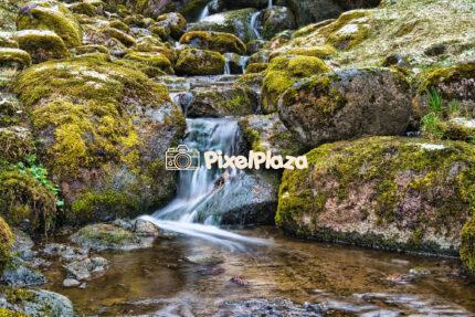 Moss-Covered Rocks and Gentle Waterfall in a Forest Stream